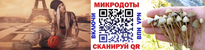 Галлюциногенные грибы Psilocybine cubensis  Апрелевка 