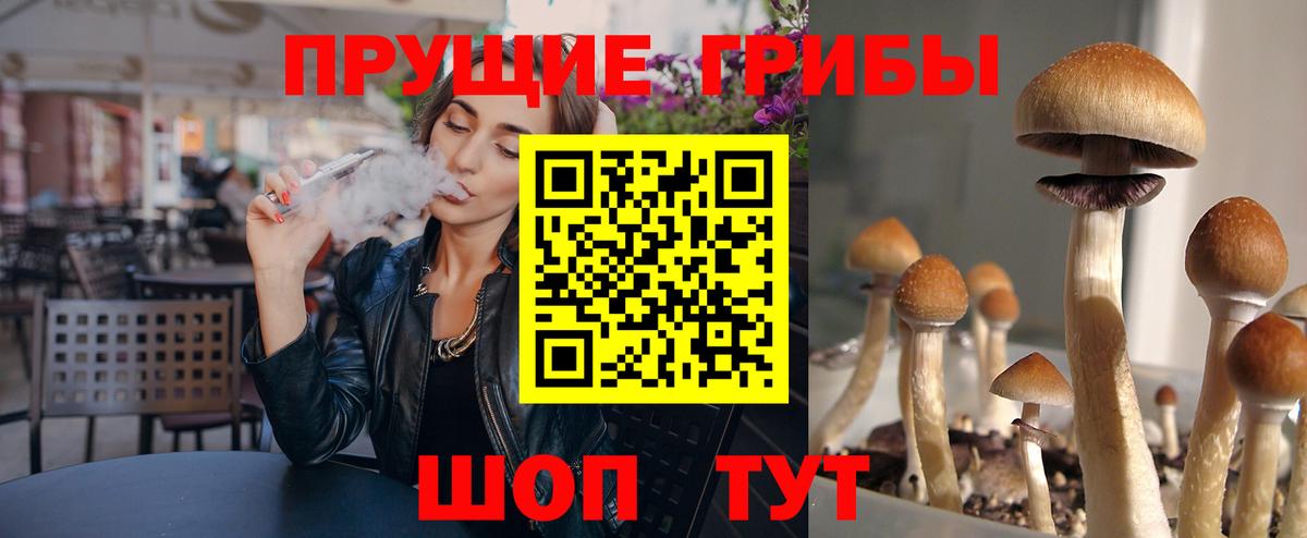 Апрелевка  Псилоцибиновые грибы GOLDEN TEACHER  Вход с VPN 