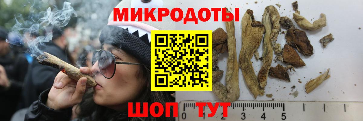 Псилоцибиновые грибы Magic Shrooms Апрелевка